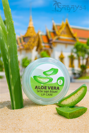 Бальзам для губ Coco Blues АЛОЕ ВЕРА 5гр (Таиланд) 00-00030301
