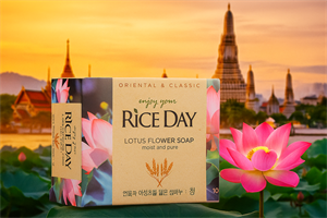 Туалетное мыло с экстрактом ЛОТОСА 100гр LION (Корея) mH1Gh4J3g2YvR38eznvEF0