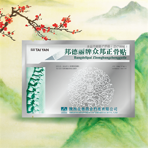 Био-стикер (пластырь) ортопедический Bangdeli 1шт (Китай) 00-00031476