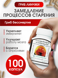 Травяной концентрат Линчжи (Рейши) THANYAPORN 100шт (Таиланд) 00-00025756