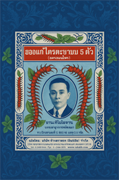 Интенсивные тайские шарики от кашля и боли в горле Takabb 34 шарика (Мята в пакетиках) 500100