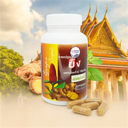 Капсулы с Имбирем для улучшения пищеварения, 100 шт. Kongkaherb (Таиланд) RGqx07czgy5J0QsTM6XFG0