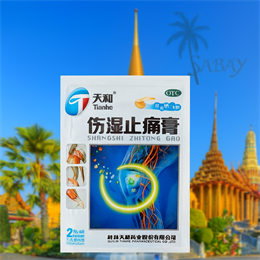 Пластырь ТМ Tianhe Shangshi Zhitong Gao (противоревматический) 2шт 8*13см (Китай) 00-00029182