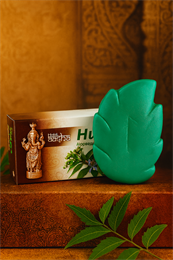 Мыло НИМ Aasha herbals 75гр. (Индия) 95uN2rbggaw4w5rcXpzRh0