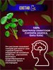 Центелла азиатская Травяной концентрат нерв. расстройства, раздраж. кожи THANYAPORN 100шт (Таиланд) 00-00026504