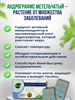 3 упаковки Фа Талай Джон Khaolaor 20 шт. 500 мг противовирусное средство 50101
