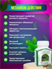 Травяной концентрат Гиностемма серд-сосуд система,онкология,гипертония THANYAPORN 100шт(Таиланд) 00-00027105 - фото 9388