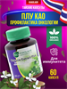 ПЛУ КАО (Plukaow) 300мг (аллергия, герпес, астма и т.д.) 60шт KHAOLAOR (Таиланд) 00-00028360 - фото 9433